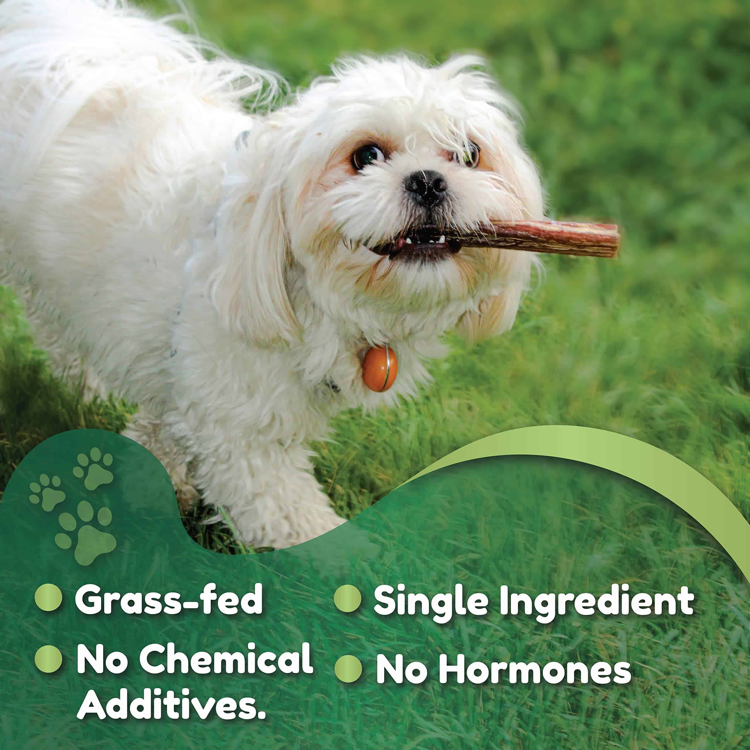 Nemeth Farms Premium European Beef Bully Sticks 6" para - Imagen 5