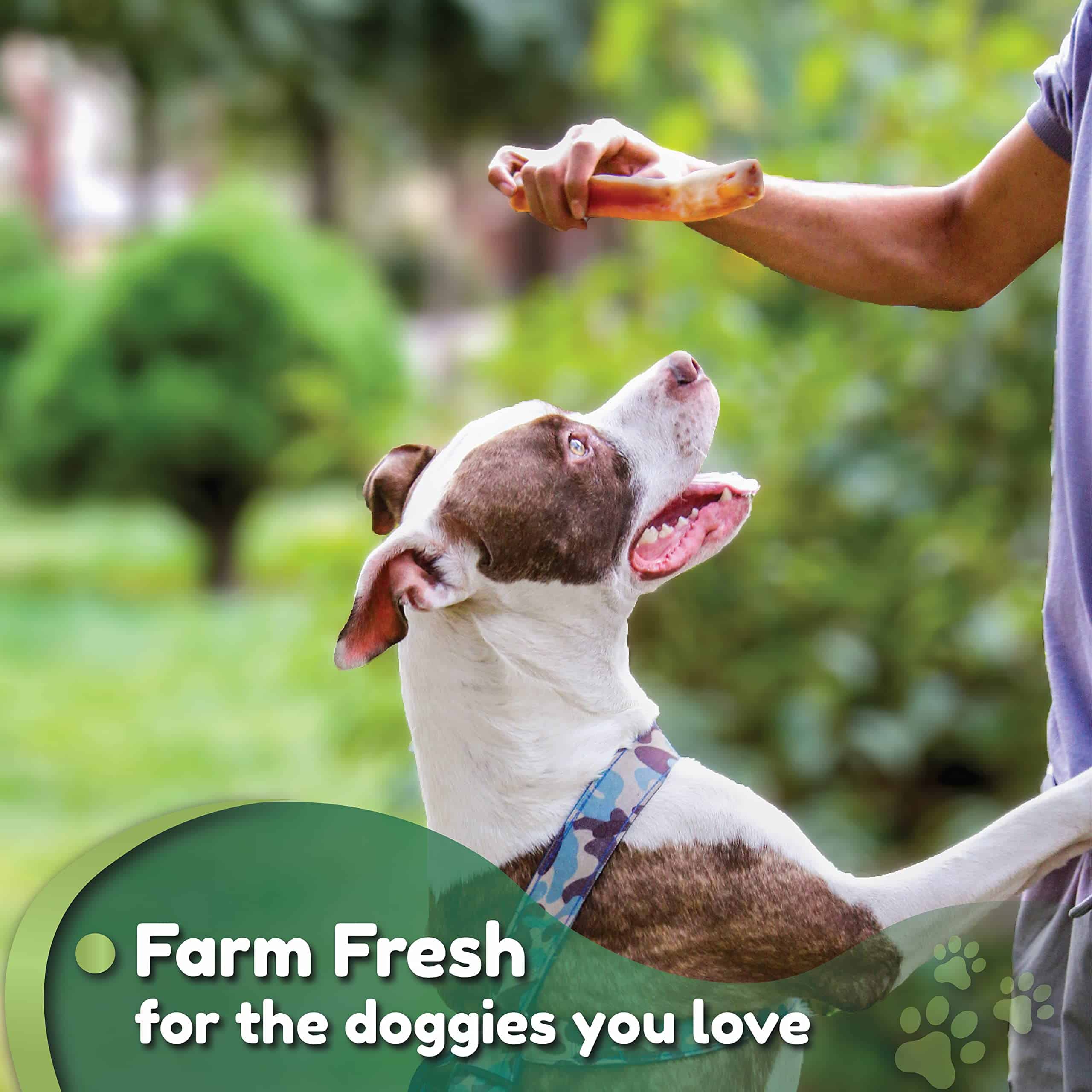 Nemeth Farms Premium European Beef Bully Sticks 6" para - Imagen 7