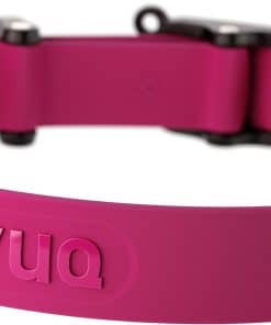 Collar para Perros NUVUQ a Prueba de Agua y Duradero,