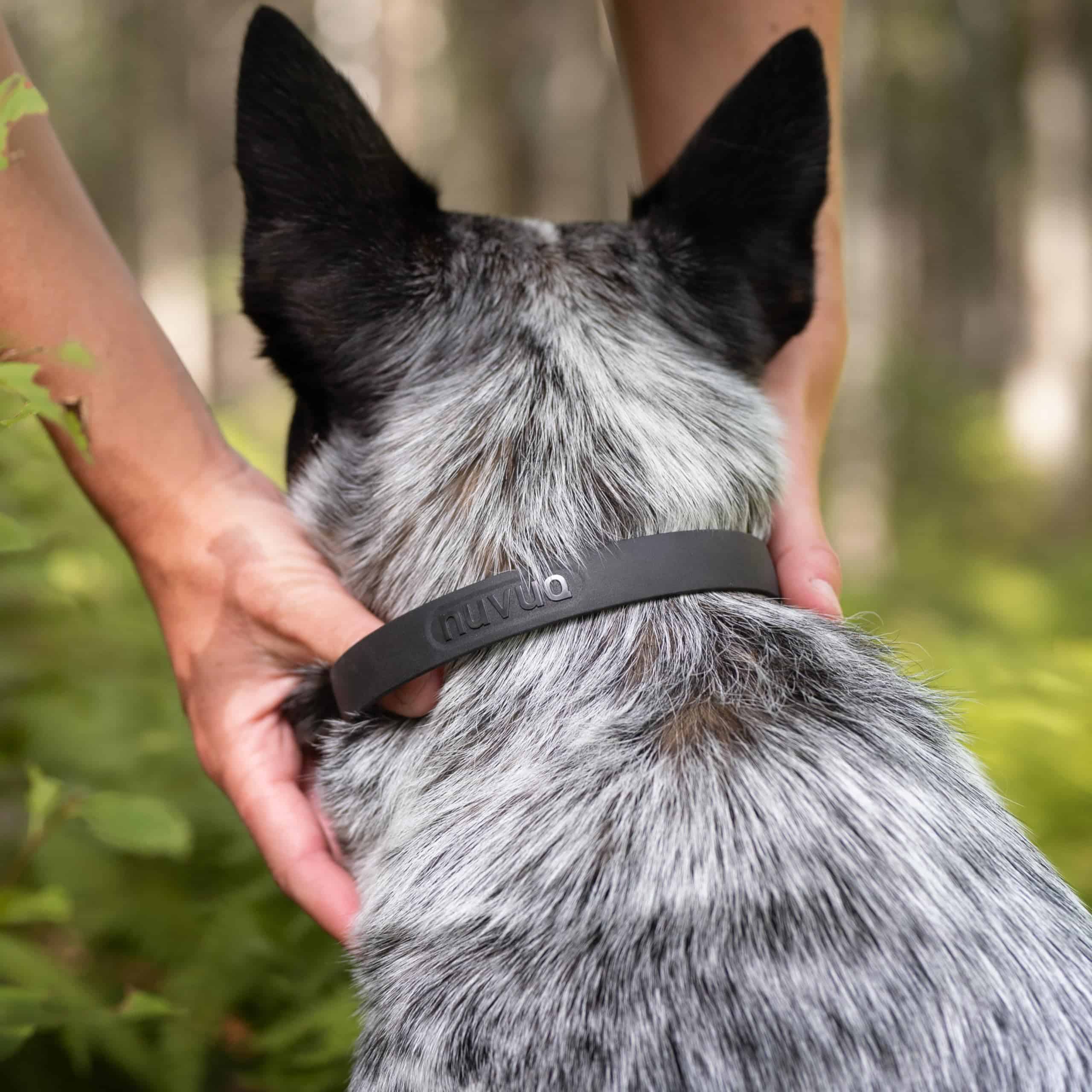 Collar para perro resistente al agua y duradero NUVUQ, - Imagen 5