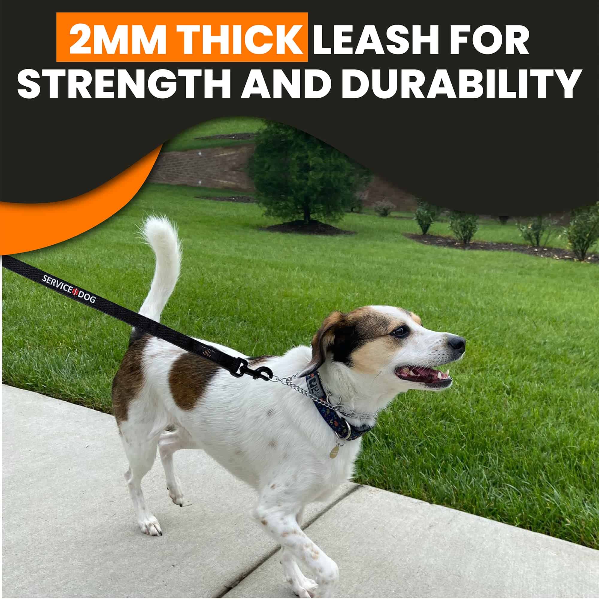 Correa para Perros de Servicio Tacticollar, Resistente - Imagen 7