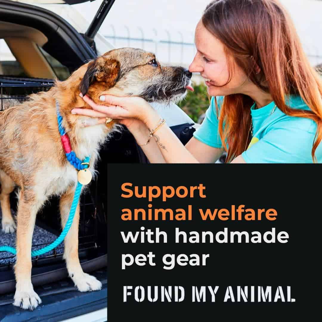 Collar para Gato y Perro de Cuerda de Algodón Blush Found - Imagen 8