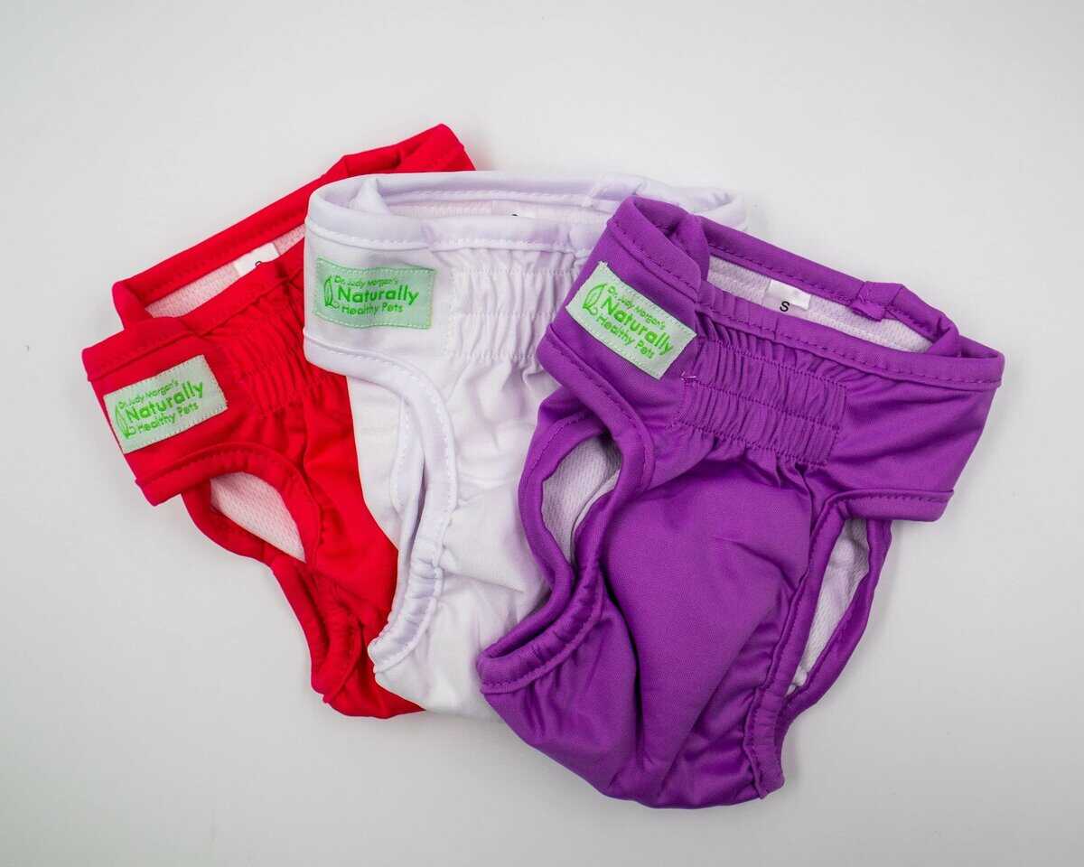 Pañales lavables y reutilizables para perros de la Dra.