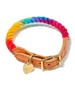 Collar de gato y perro Found My Animal - Prismatic Ombre de