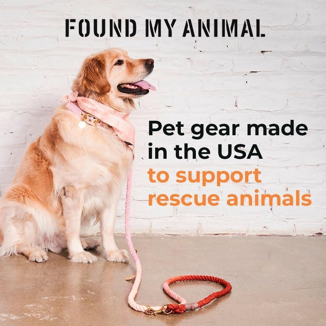 Collar de Gato y Perro de Terciopelo Lavable en Rosa (Extra - Imagen 6