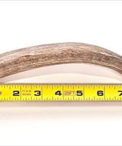 DEER ANTLER FOR DOGS | Asta de ciervo 100% orgánica Grado A