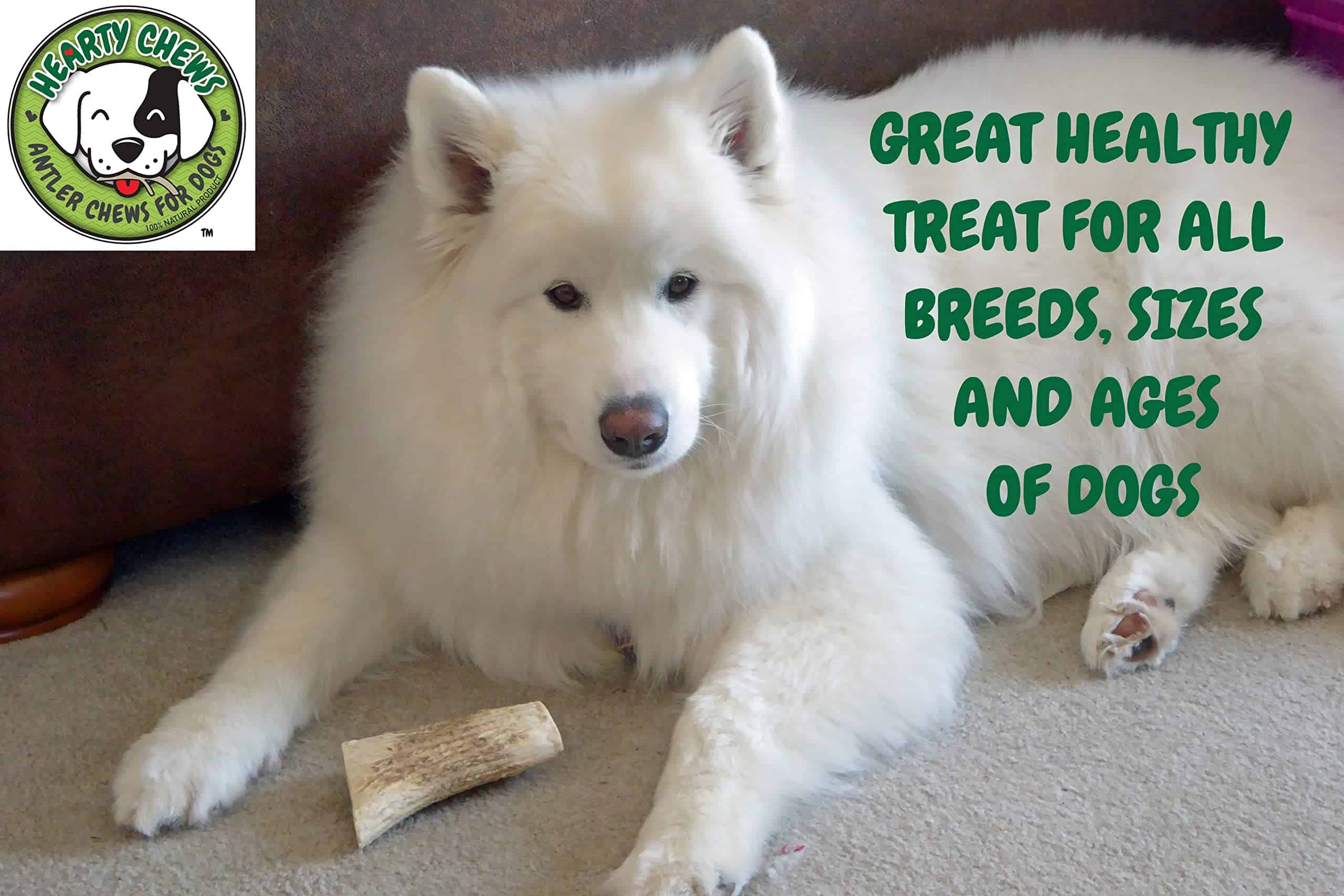 Cornamenta de Venado Premium para Perros Hearty Chews, - Imagen 6