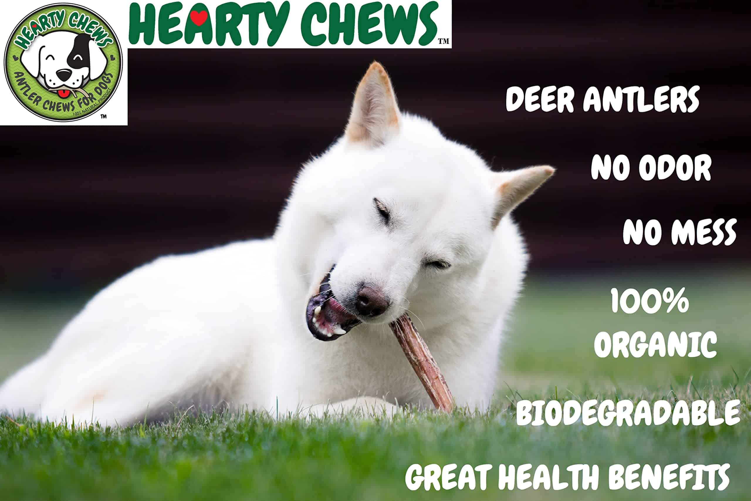Cornamenta de Venado Premium para Perros Hearty Chews, - Imagen 10