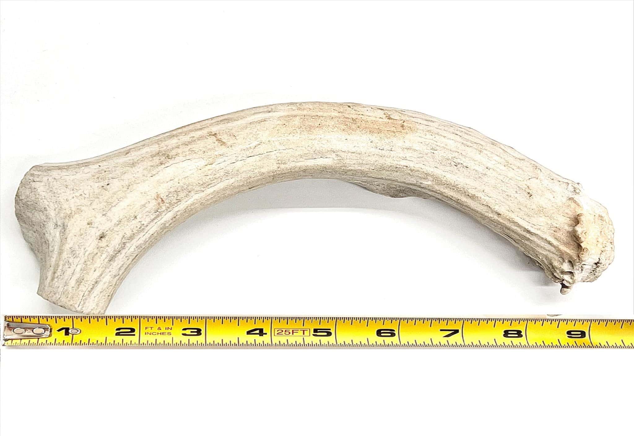 Mordedor de asta de ciervo para perros 100% orgánico grado