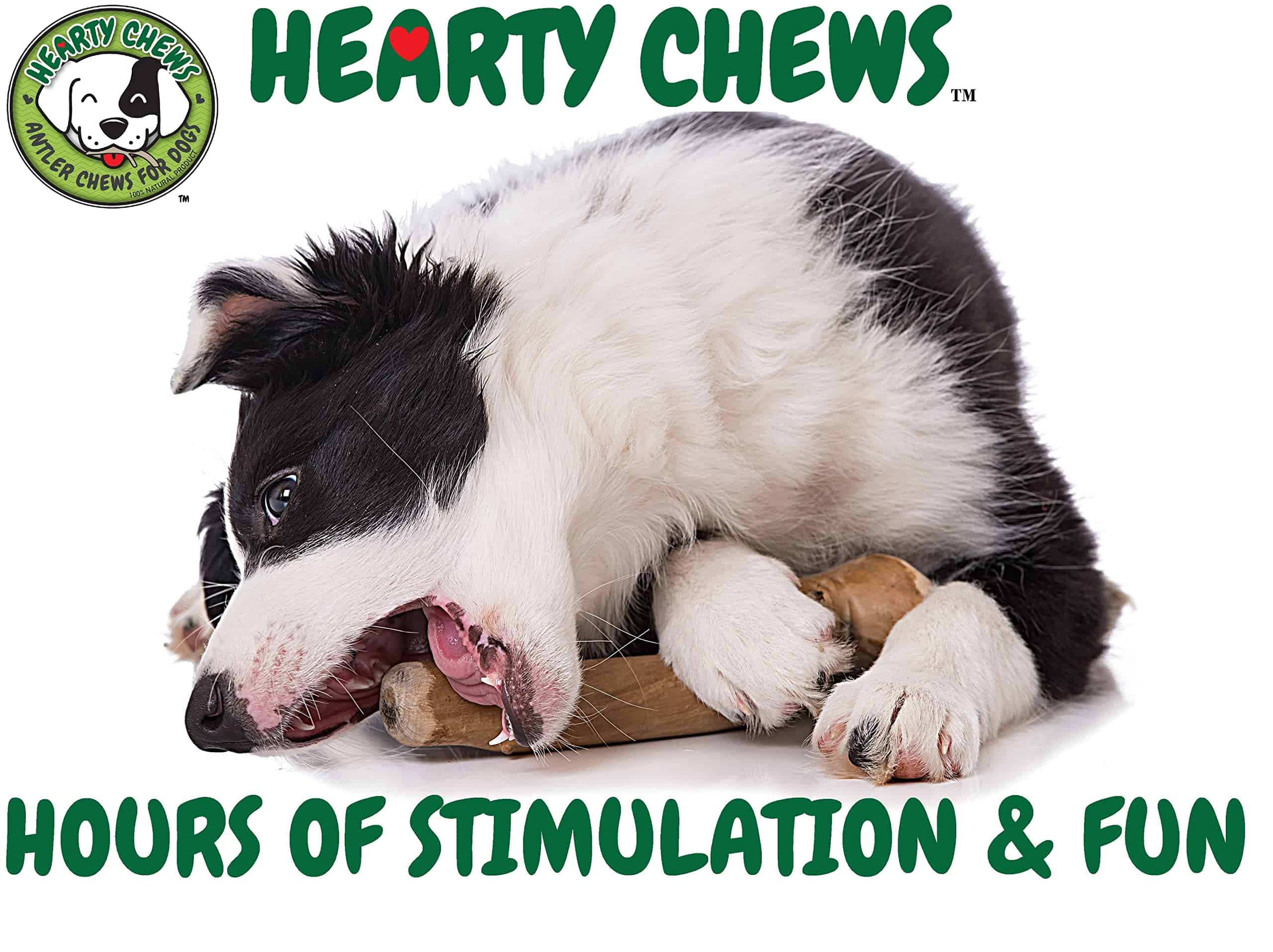 Mordedor de asta de ciervo para perros 100% orgánico grado - Imagen 10