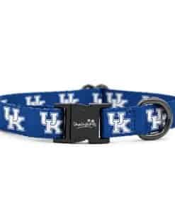 Collares y Correas de Kentucky Wildcats | Oficialmente