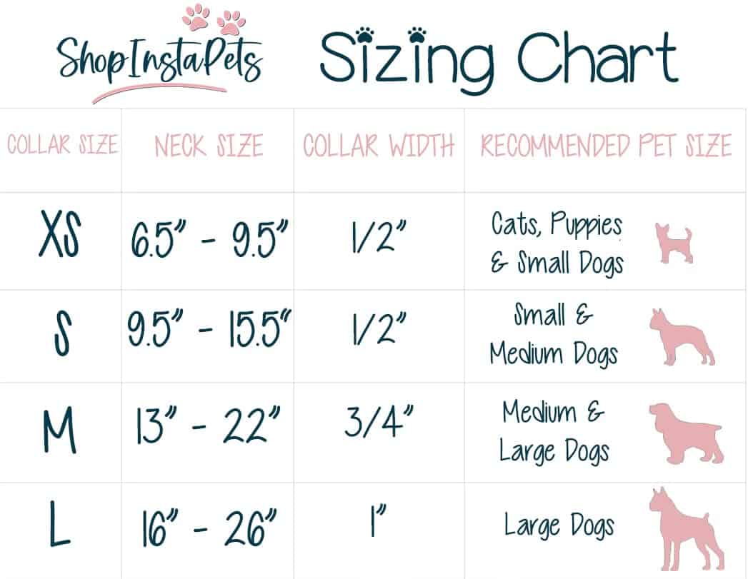 Collares y Correas de los Badgers de Wisconsin | - Imagen 3