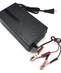 Cargador de batería LiFePO4 48V 5A con abrazaderas para