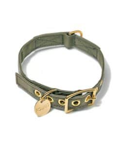Collar de Perro y Gato de Lona de Algodón en Color Oliva -