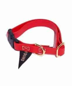 Collar para Gatos y Perros Resistente al Agua - Found My