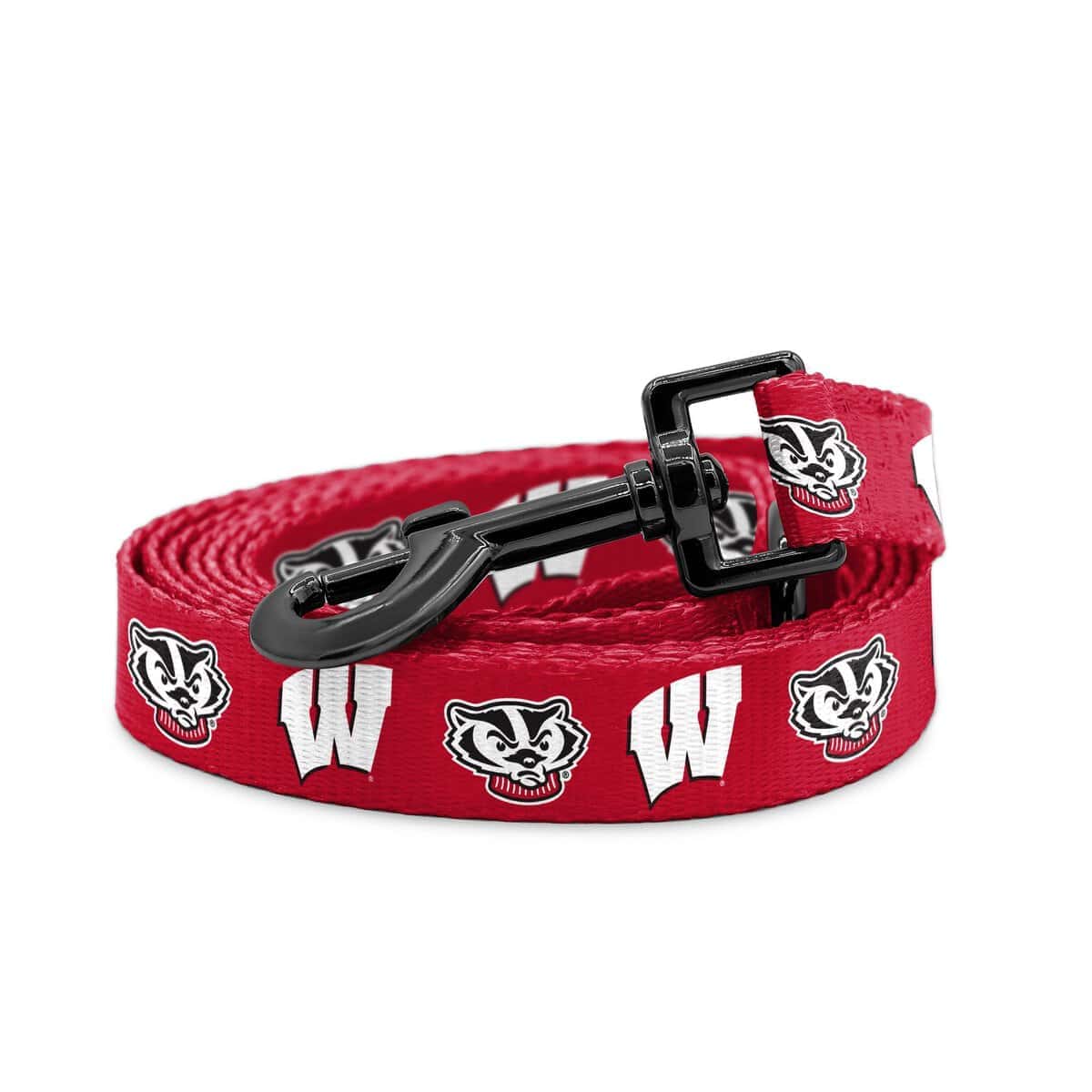 Collares y Correas de Wisconsin Badgers | Licencia Oficial