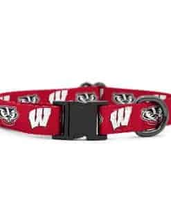 Collares y correas Wisconsin Badgers | Licencia oficial |