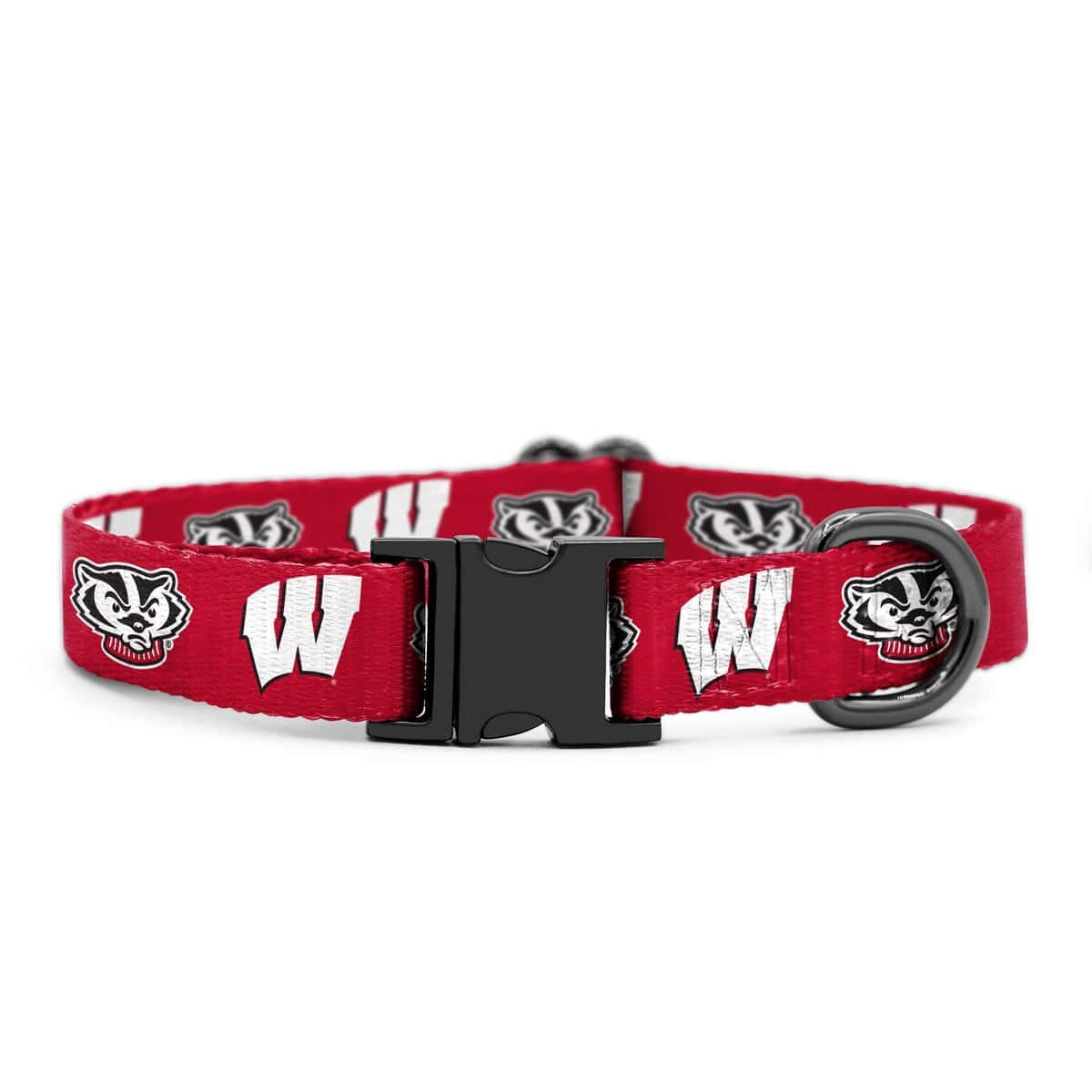 Collares y Correas de los Badgers de Wisconsin |