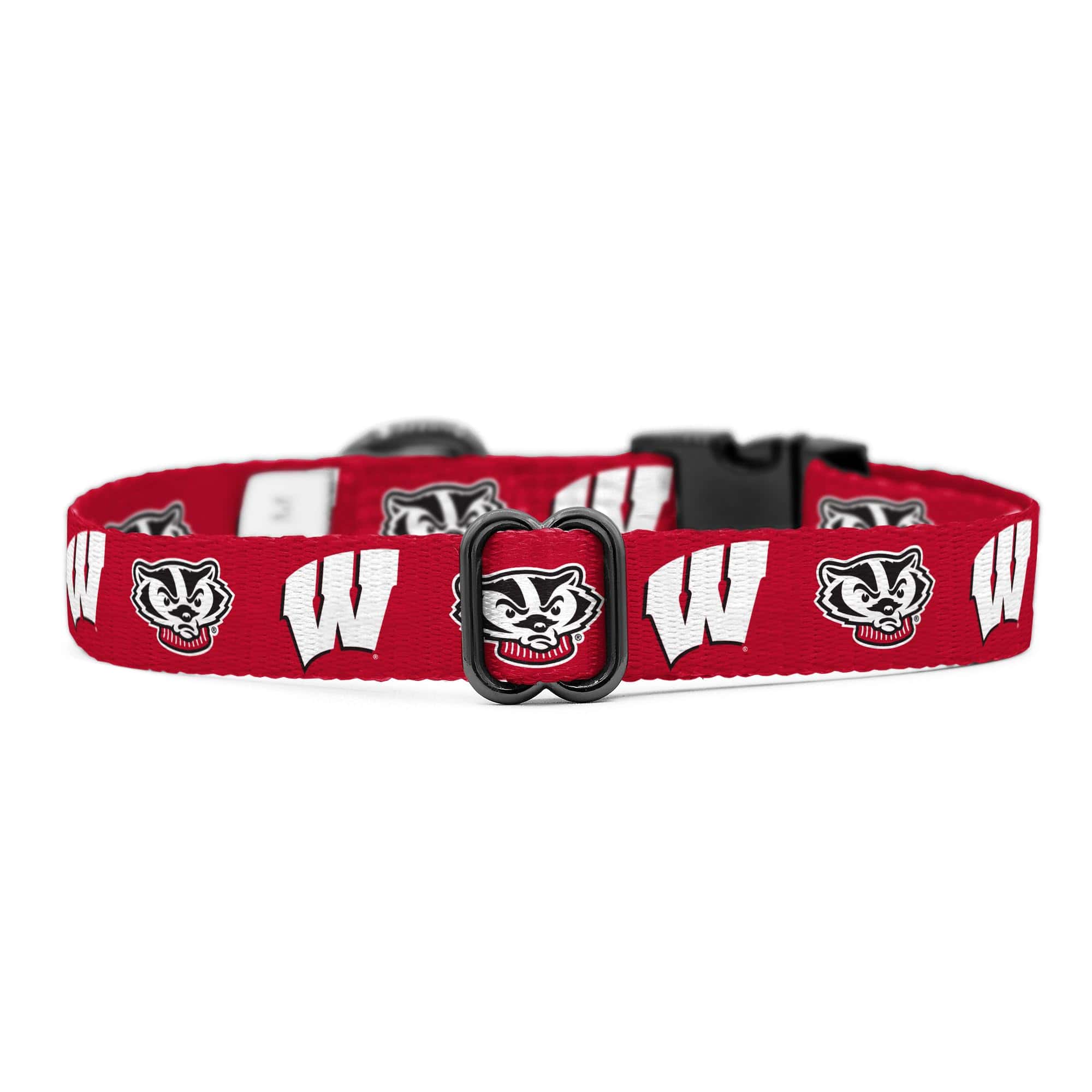 Collares y Correas de los Badgers de Wisconsin | - Imagen 5