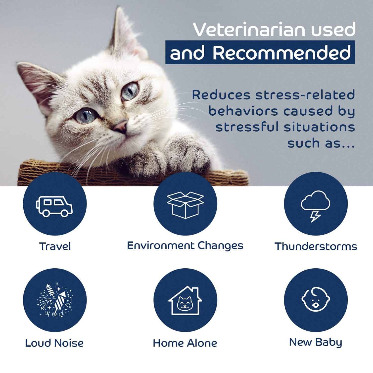 Collar Natural Calmante y Relajante para Gatos, Reduce la - Imagen 5