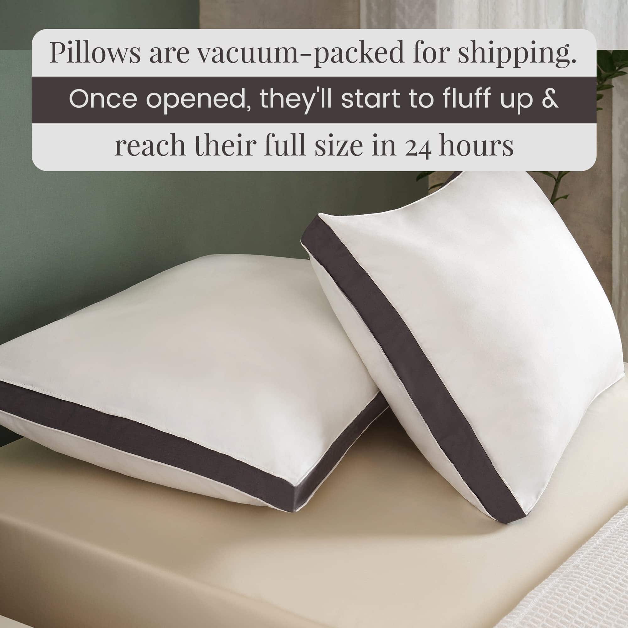 Almohadas para Dormir CHATEAU HOME COLLECTION - Juego de 2 - Imagen 5