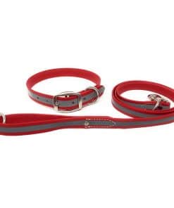 Conjunto de collar y correa reflectante para perros grandes