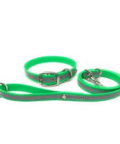 Conjunto de Collar y Correa Reflectante para Perro Pequeño