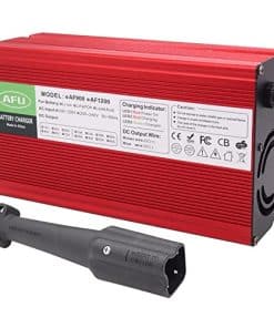 Cargador de batería de 48 Voltios 15 AMP para carritos de