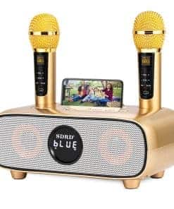 Máquina de Karaoke para Adultos y Niños, Micrófono