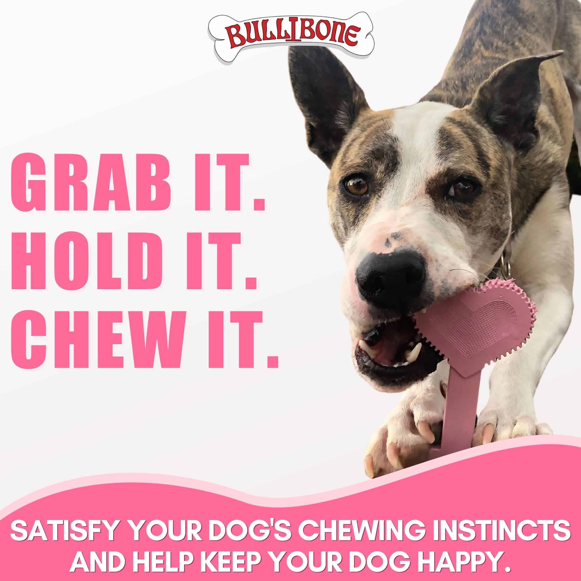 Juguete masticable de nylon para perros Bullibone Nylon - Imagen 8