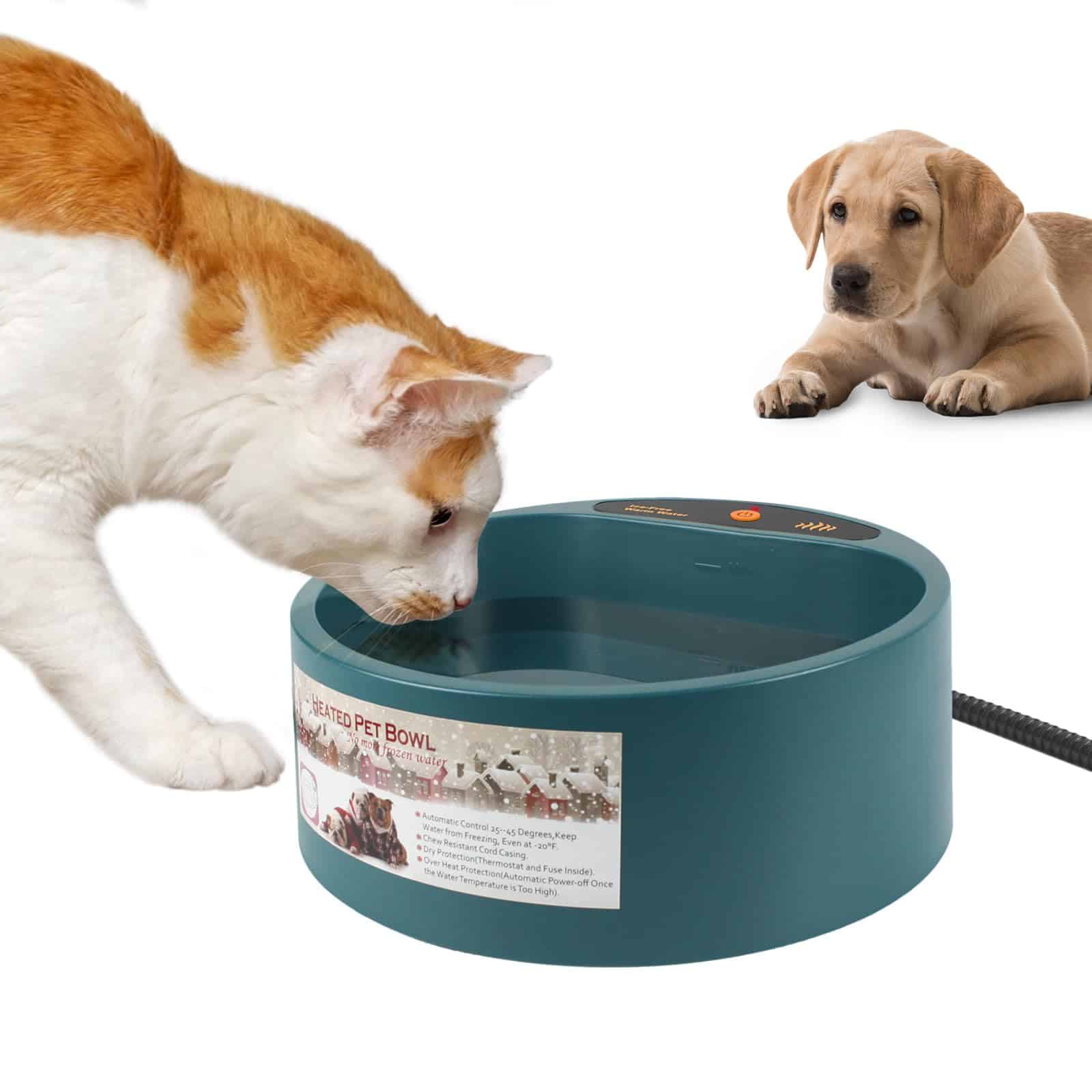 Tazón de Agua Caliente para Gatos Perros de Todas las Razas