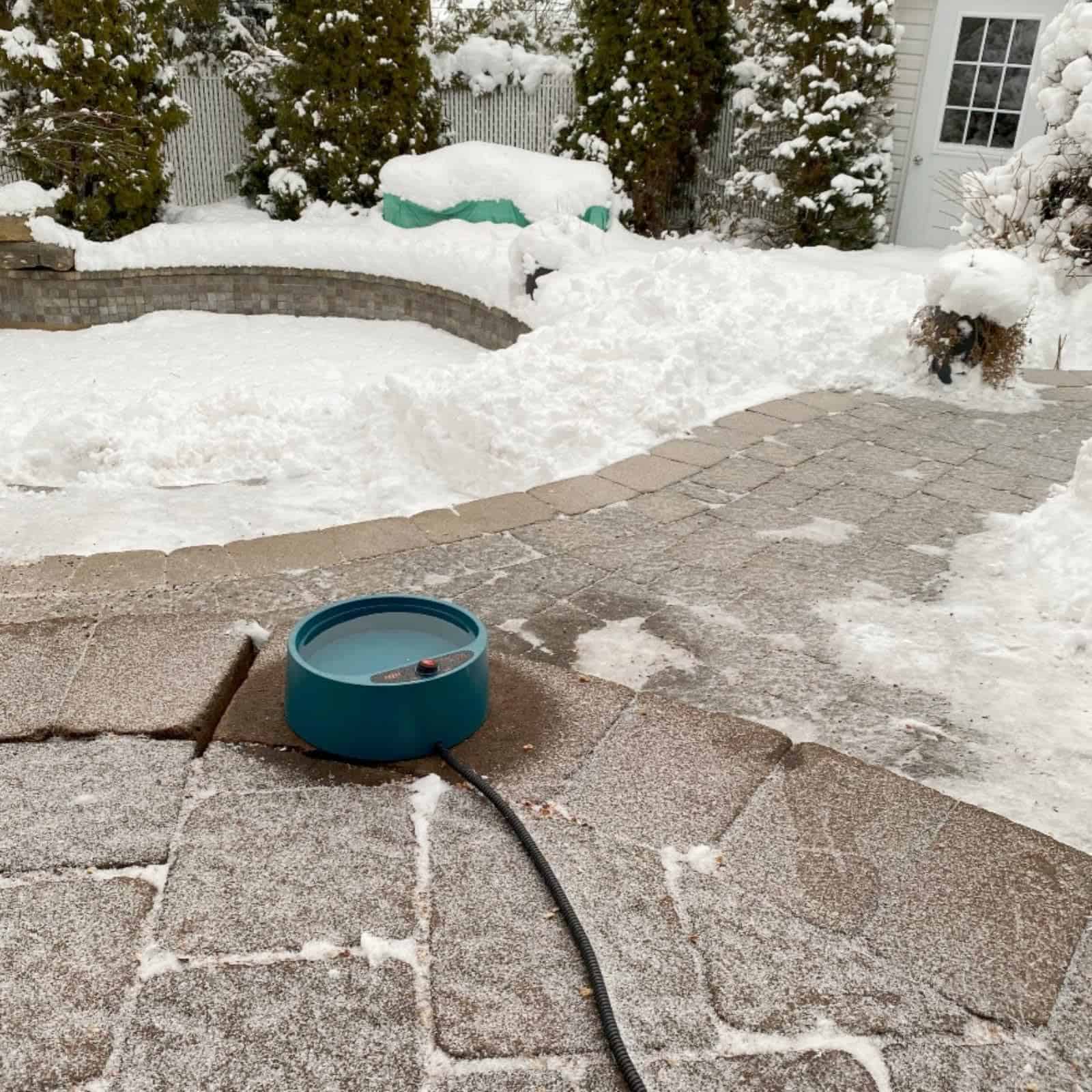 Tazón de Agua Caliente para Gatos Perros de Todas las Razas - Imagen 9