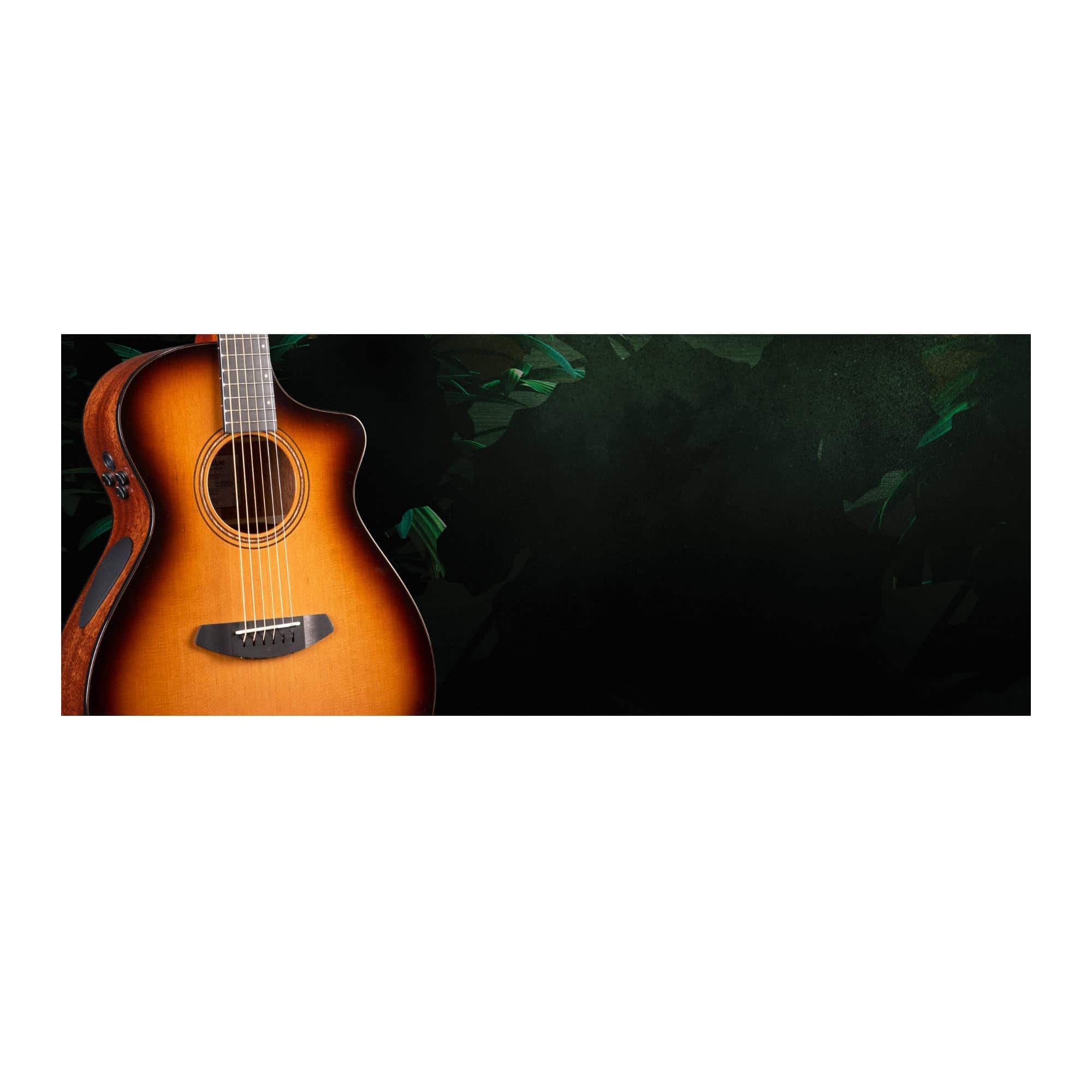 Guitarra eléctrica acústica Breedlove Solo Pro Concert CE - Imagen 10