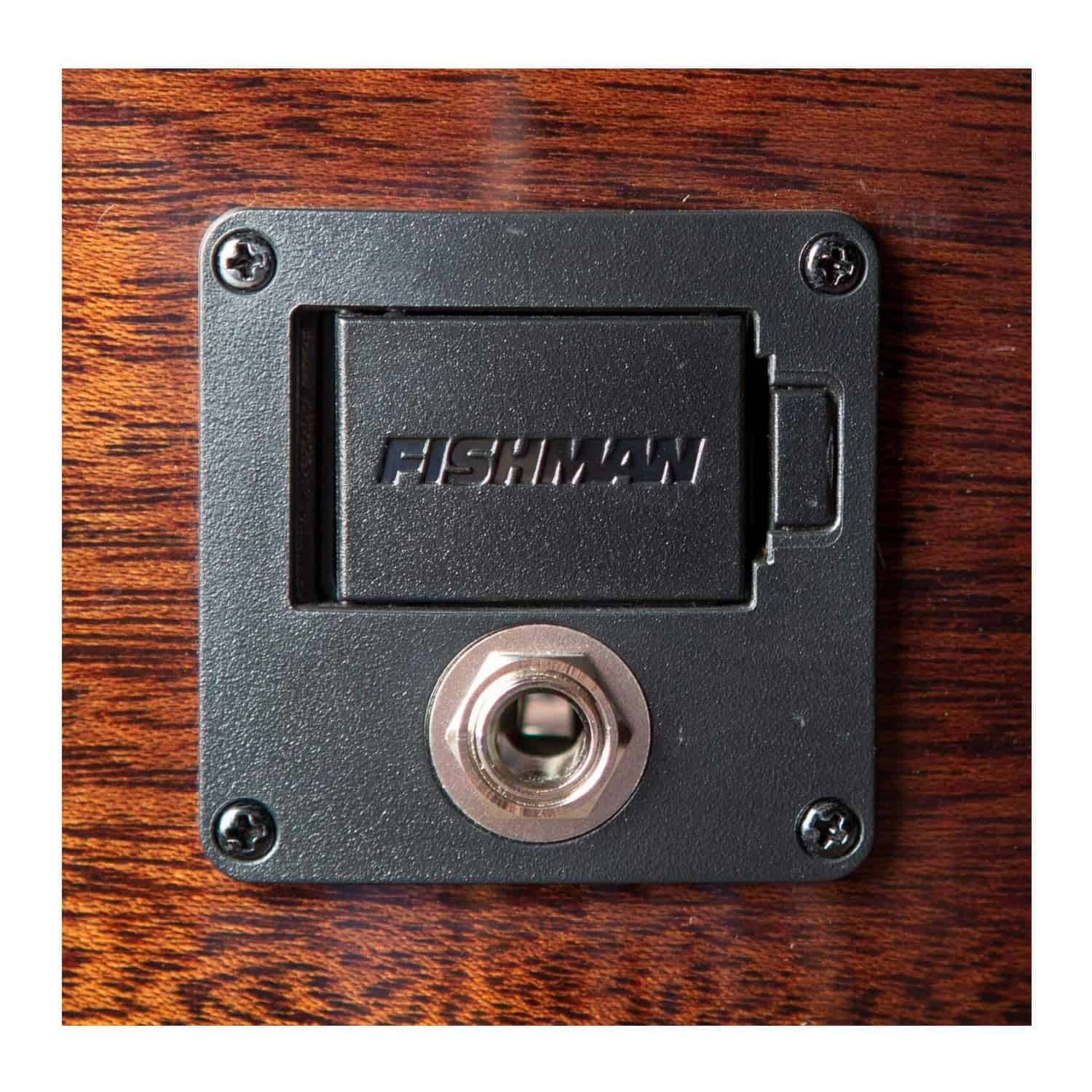 Guitarra Acústica Eléctrica Breedlove Solo Pro Concert - Imagen 9