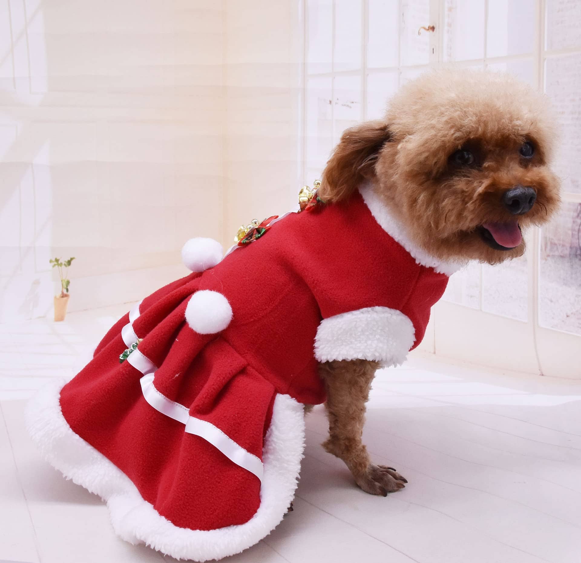 Ropa de Navidad para Mascotas Perro Santa Claus Invierno - Imagen 6