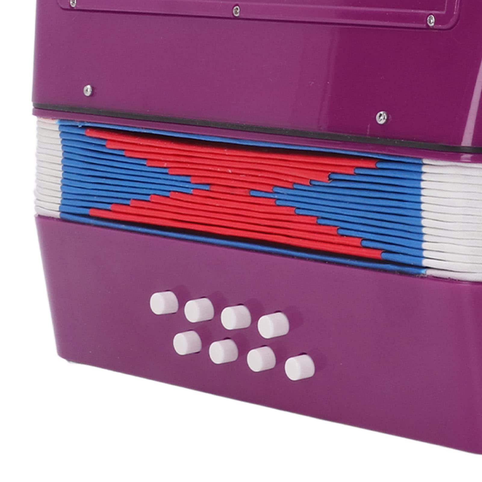 Acordeón de Juguete para Niños, 17 Teclas y 8 Botones Bass - Imagen 9