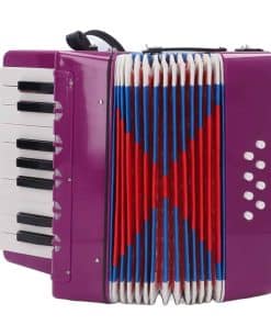 Acordeón de Juguete para Niños, 17 Teclas y 8 Botones Bass