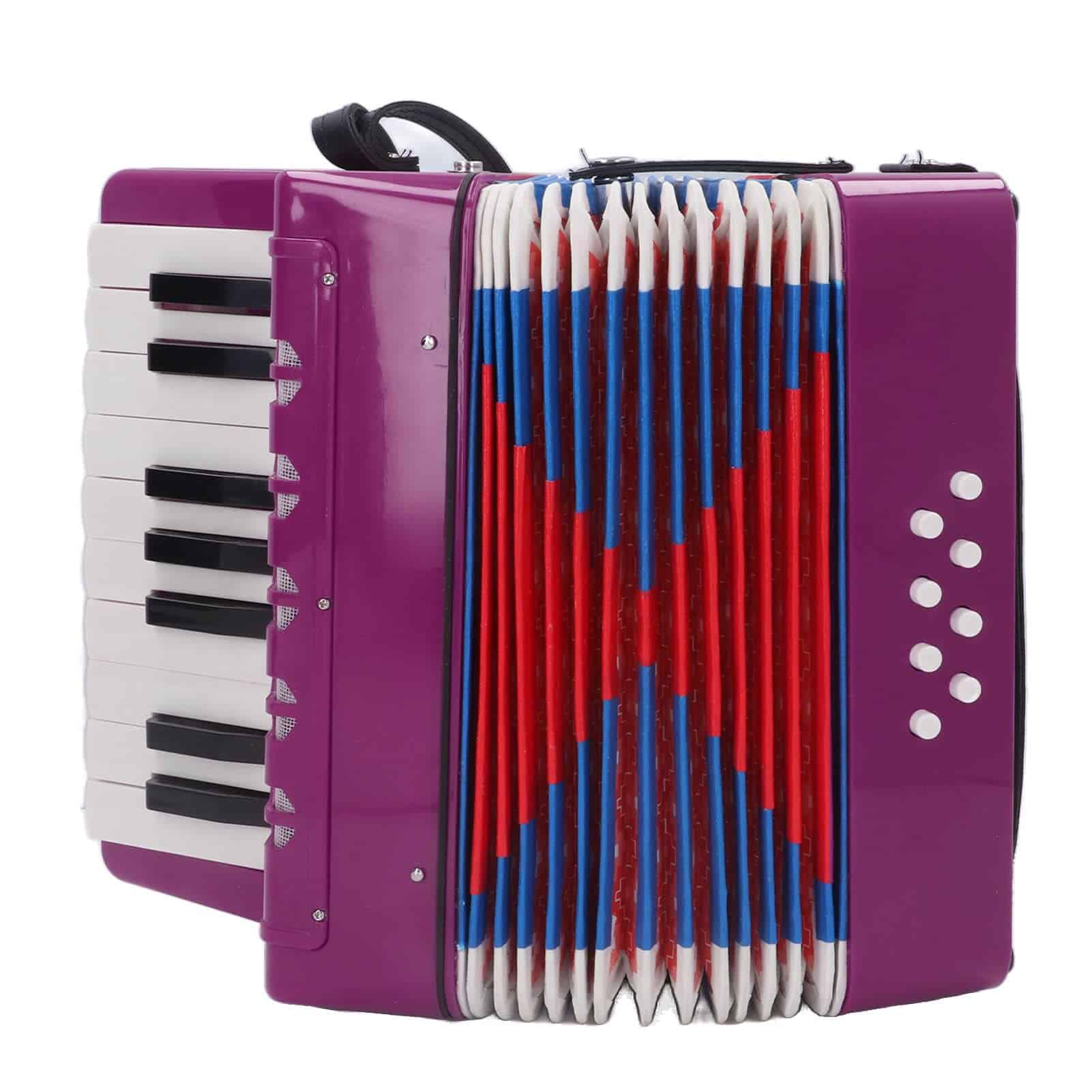 Acordeón de Juguete para Niños, 17 Teclas y 8 Botones Bass