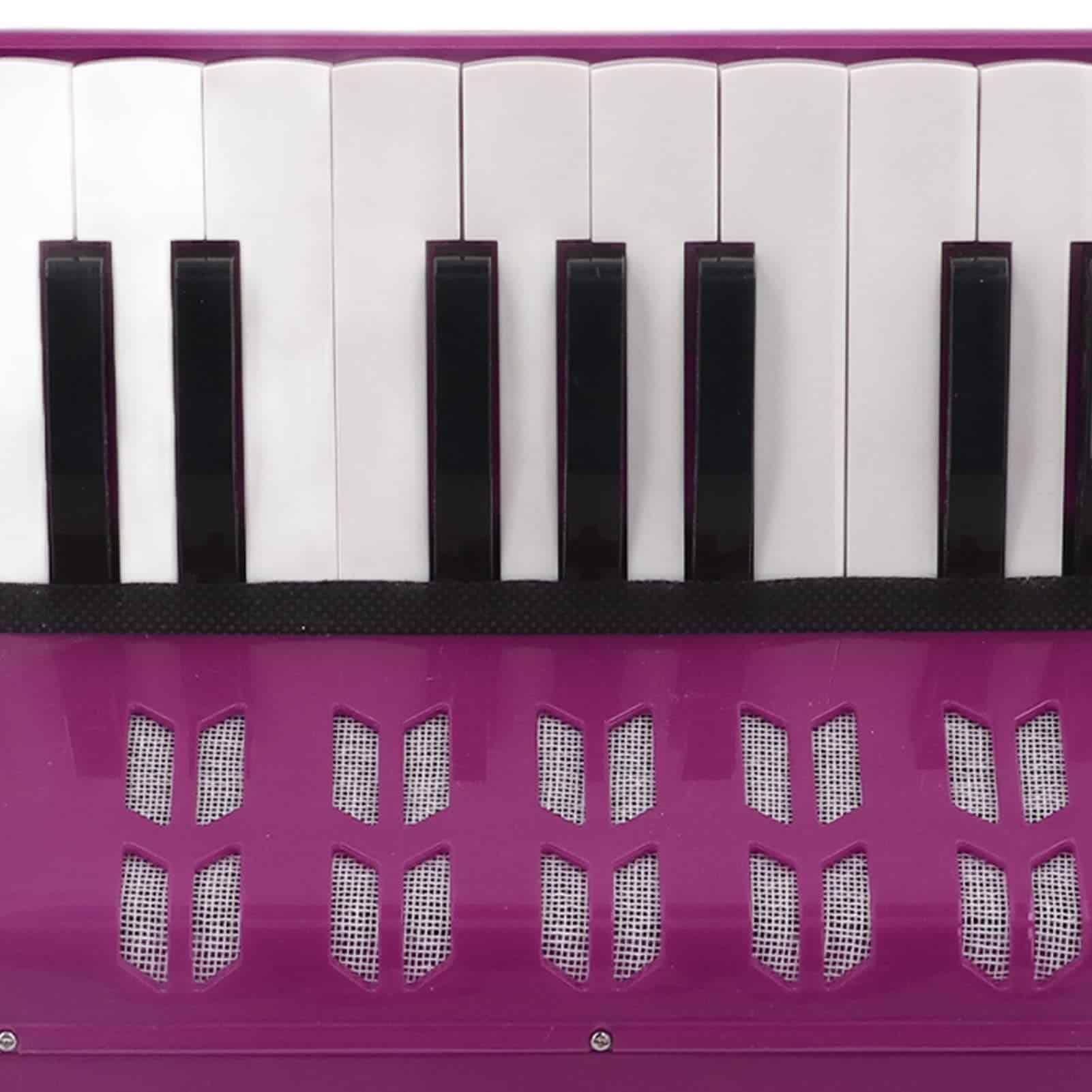 Acordeón de Juguete para Niños, 17 Teclas y 8 Botones Bass - Imagen 10