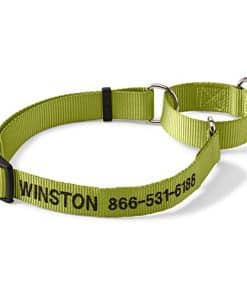 Collar martingale para perros Orvis, Citron - Grande