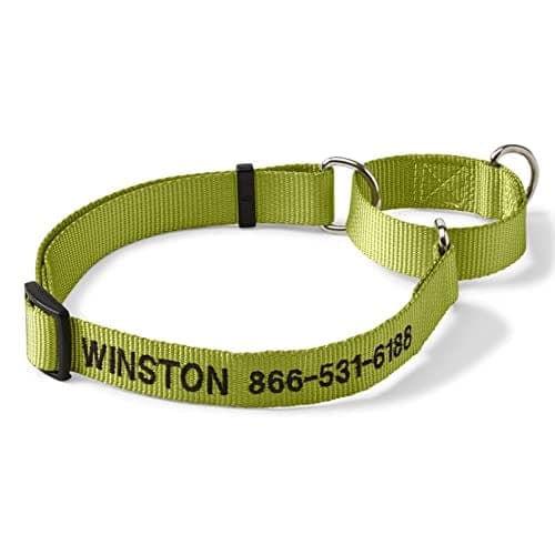Collar martingale para perros Orvis, Citron - Grande