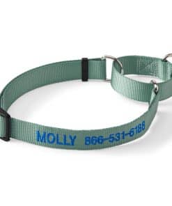 Collar martingale para perros Orvis, Wasabi - Mediano