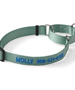 Collar Martingale para Perros Orvis, Wasabi - Grande