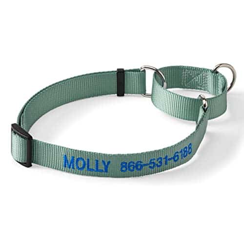 Collar Martingale para Perros Orvis, Wasabi - Grande