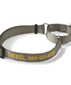 Collar de Ahogo Martingale para Perros Orvis, Verde Oliva -