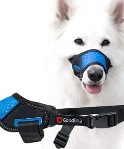 Bozal para Perros GoodBoy que Permite Beber y Jadear, Evita