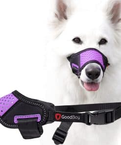 Bozal para perro GoodBoy que permite beber y jadear, evita