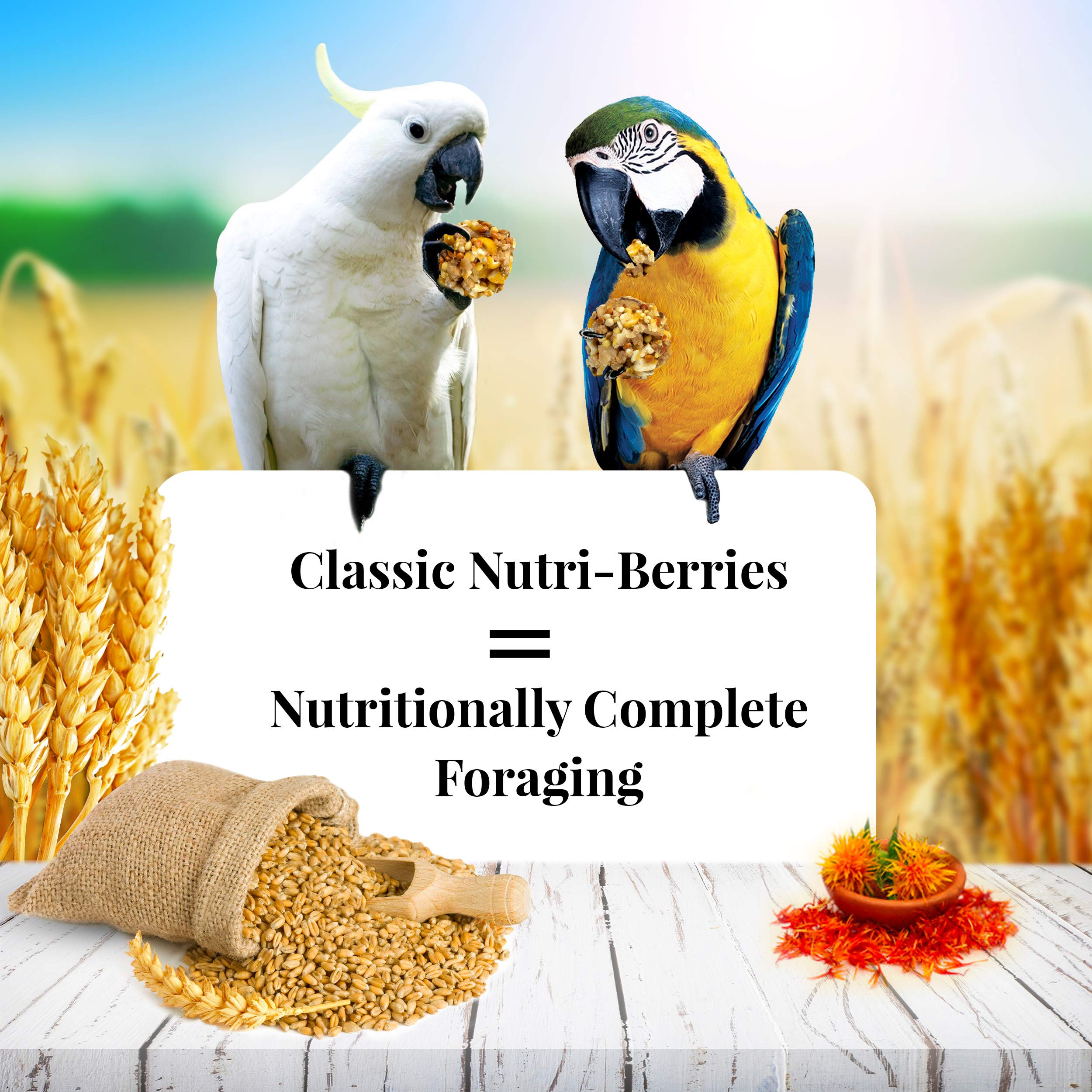 Alimento para aves LAFEBER'S Classic Nutri-Berries, hecho - Imagen 3