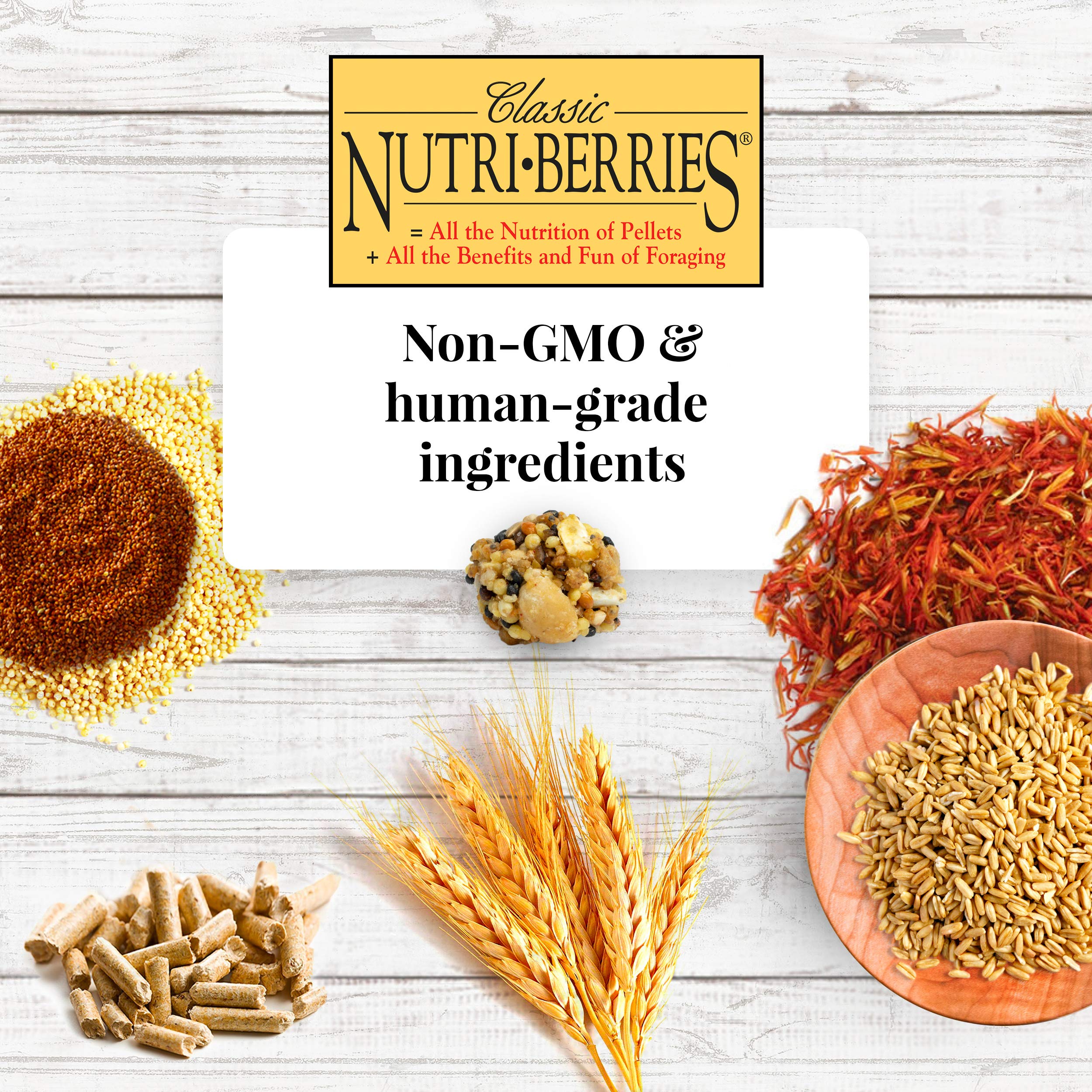 Alimento para aves LAFEBER'S Classic Nutri-Berries, hecho - Imagen 5