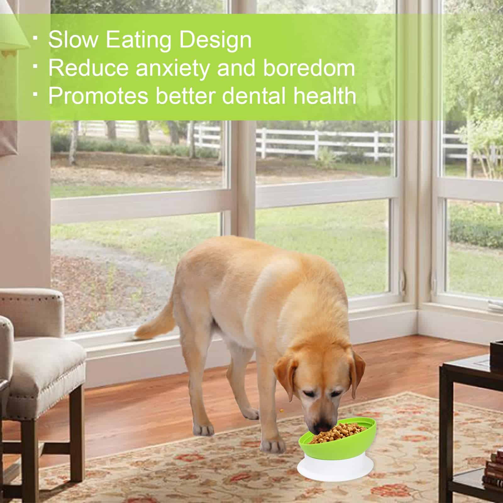 Kamehame Tazón de Perro de Silicona Desmontable Inclinado, - Imagen 7